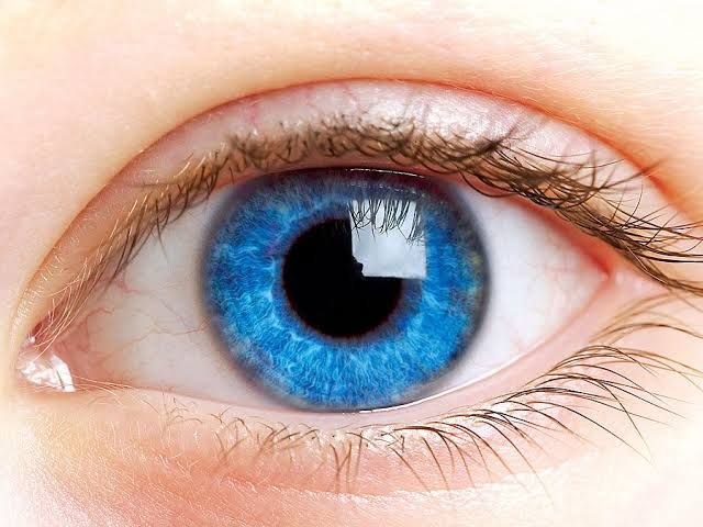 Eye Care Practices